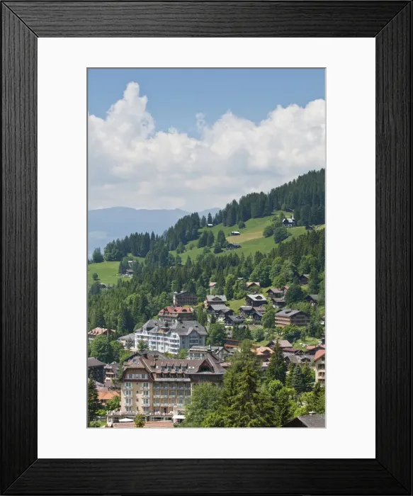 Framed Print : DDE-90035609 Framed Print : DDE-90035609