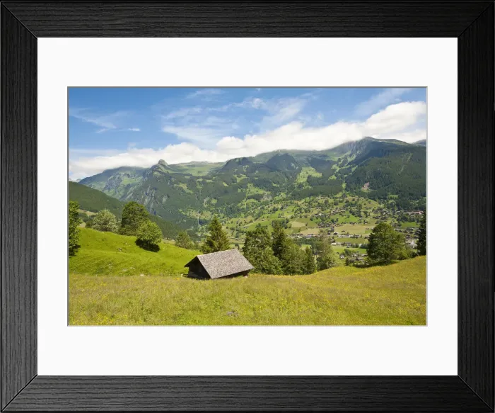 Framed Print : DDE-90035626 Framed Print : DDE-90035626