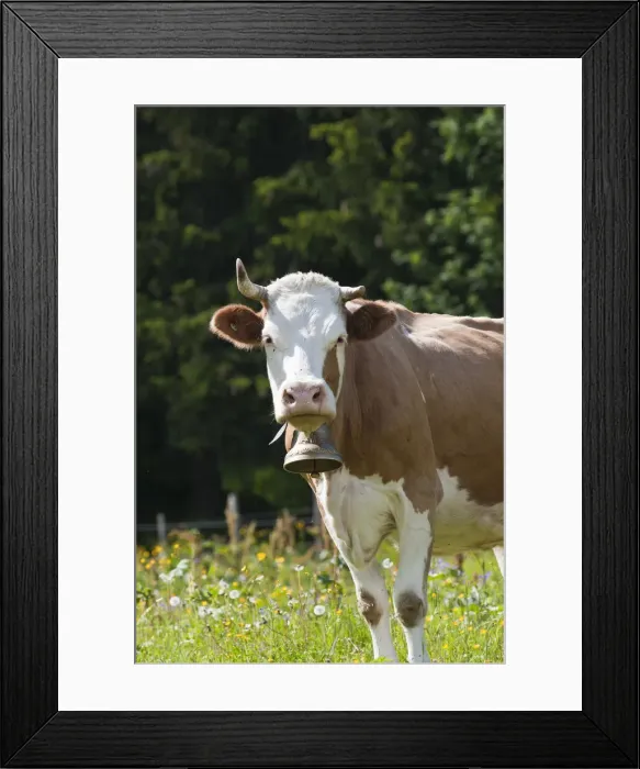 Framed Print : DDE-90035628