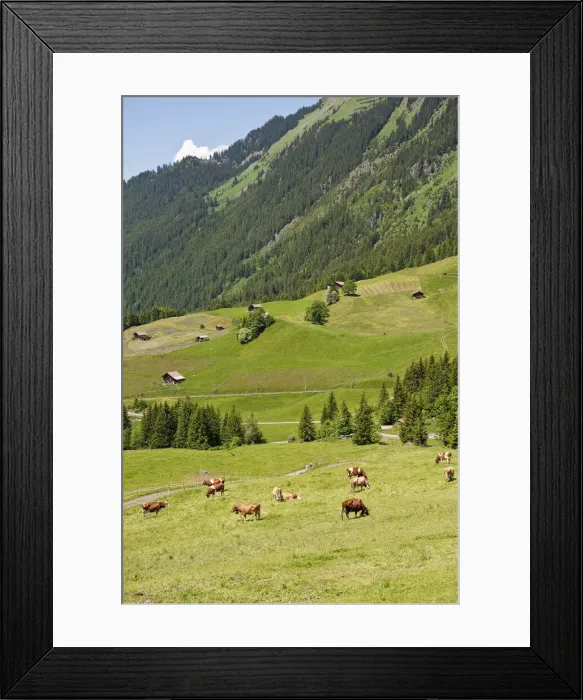 Framed Print : DDE-90035627 Framed Print : DDE-90035627