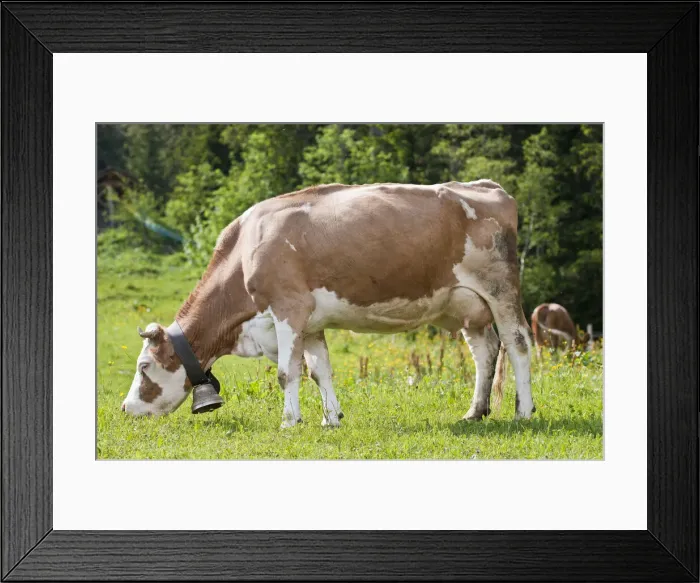 Framed Print : DDE-90035629 Framed Print : DDE-90035629