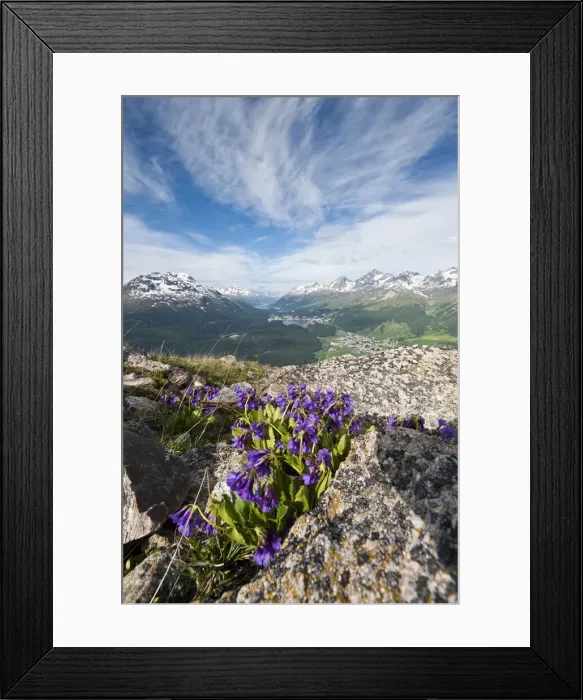 Framed Print : DDE-90035648 Framed Print : DDE-90035648