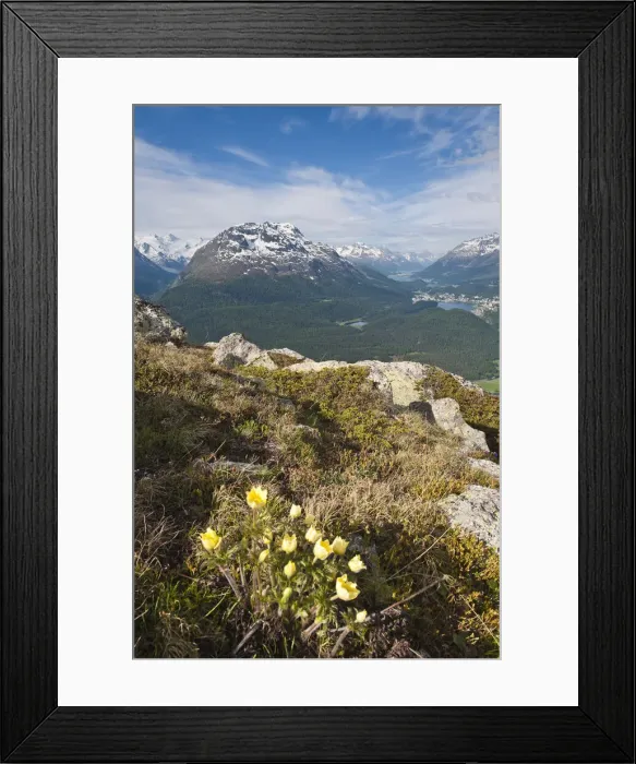 Framed Print : DDE-90035649 Framed Print : DDE-90035649