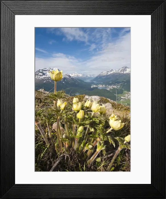 Framed Print : DDE-90035650 Framed Print : DDE-90035650