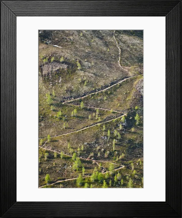 Framed Print : DDE-90035654 Framed Print : DDE-90035654