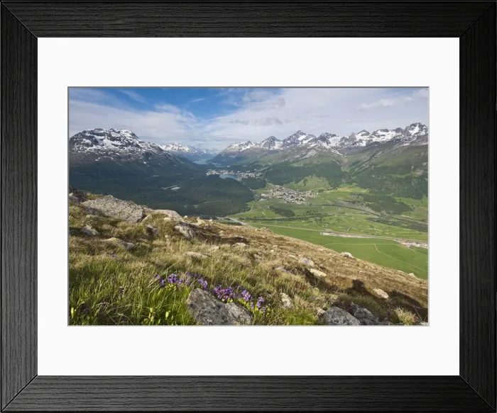 Framed Print : DDE-90035656 Framed Print : DDE-90035656