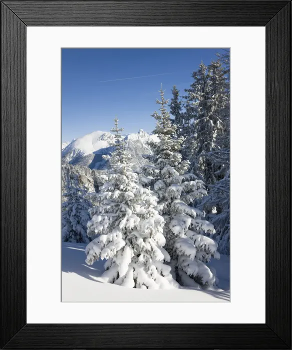 Framed Print : DDE-90035658 Framed Print : DDE-90035658