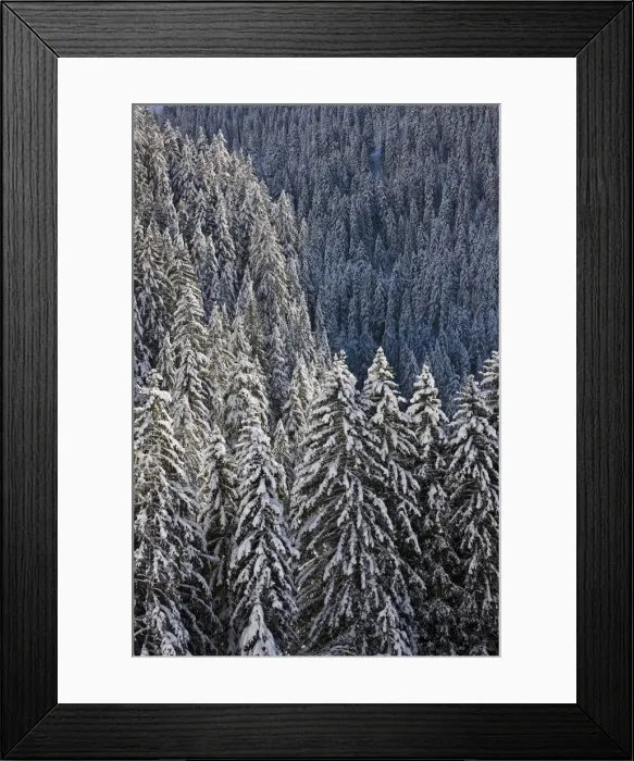 Framed Print : DDE-90035659 Framed Print : DDE-90035659