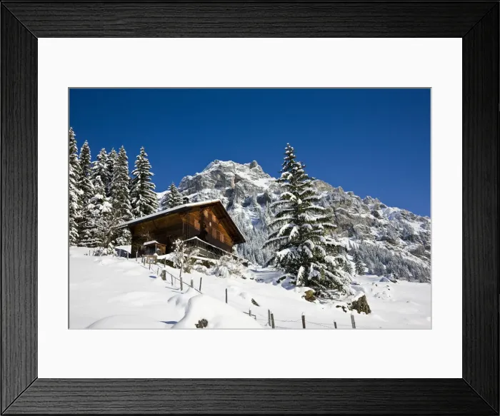 Framed Print : DDE-90035660 Framed Print : DDE-90035660