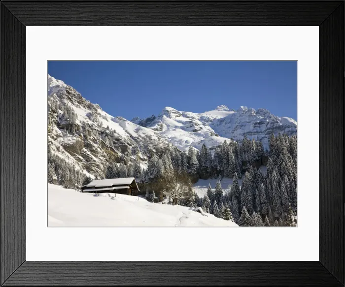 Framed Print : DDE-90035661 Framed Print : DDE-90035661