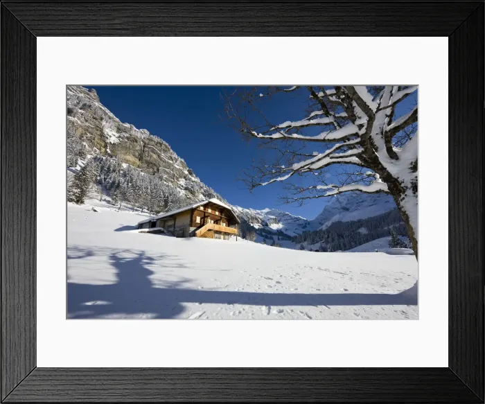Framed Print : DDE-90035664 Framed Print : DDE-90035664