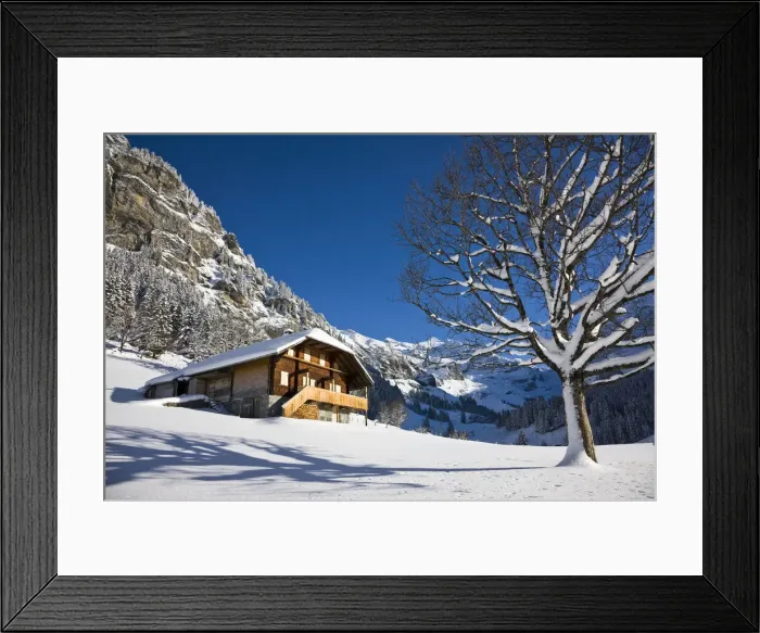 Framed Print : DDE-90035663 Framed Print : DDE-90035663