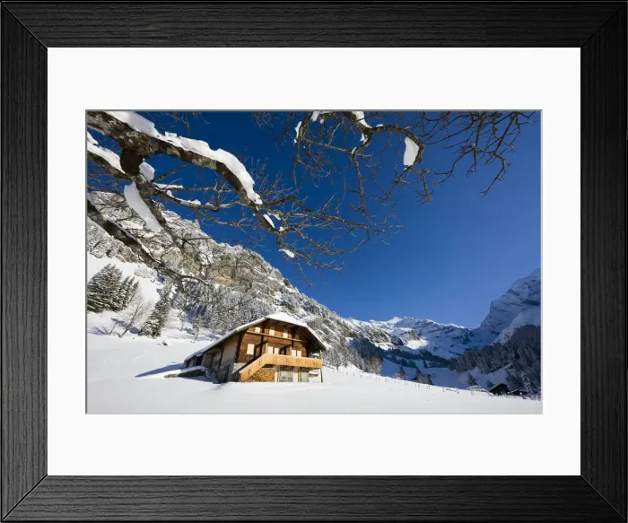 Framed Print : DDE-90035665 Framed Print : DDE-90035665