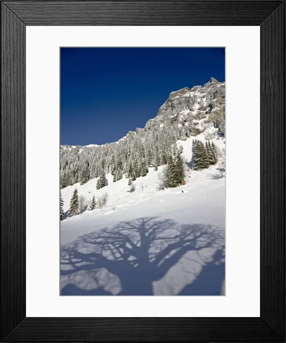 Framed Print : DDE-90035667 Framed Print : DDE-90035667