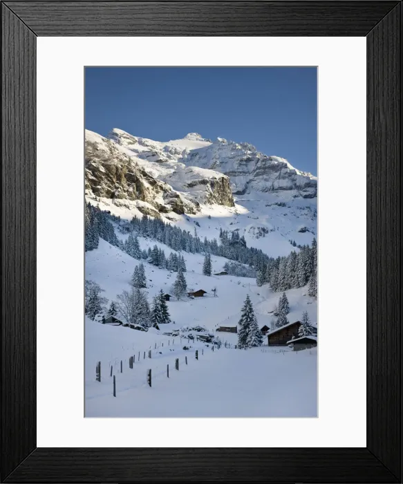 Framed Print : DDE-90035668