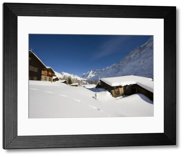 Framed Print : DDE-90035673 Framed Print : DDE-90035673
