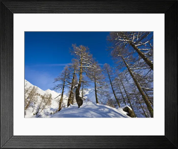 Framed Print : DDE-90035675 Framed Print : DDE-90035675