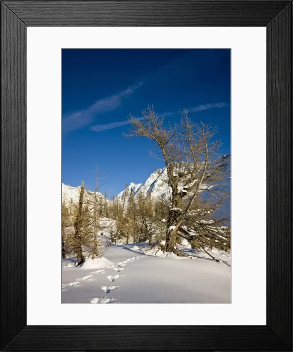 Framed Print : DDE-90035676
