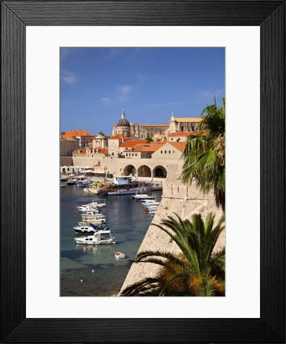 Framed Print : DDE-90035712