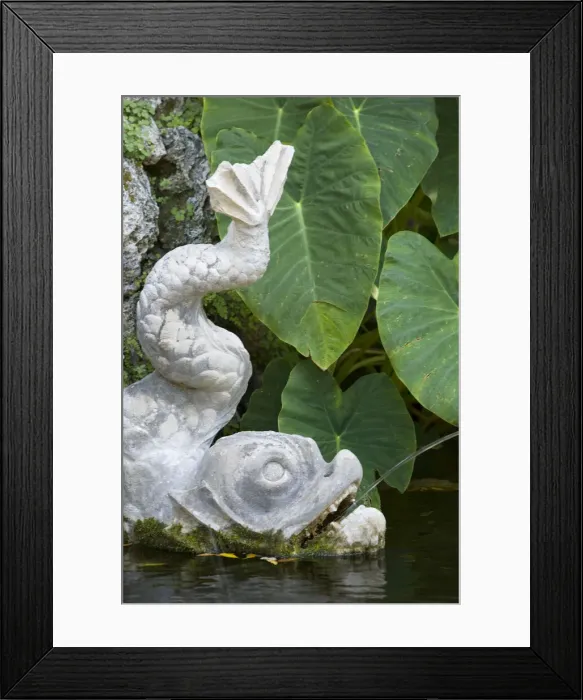 Framed Print : DDE-90035736 Framed Print : DDE-90035736