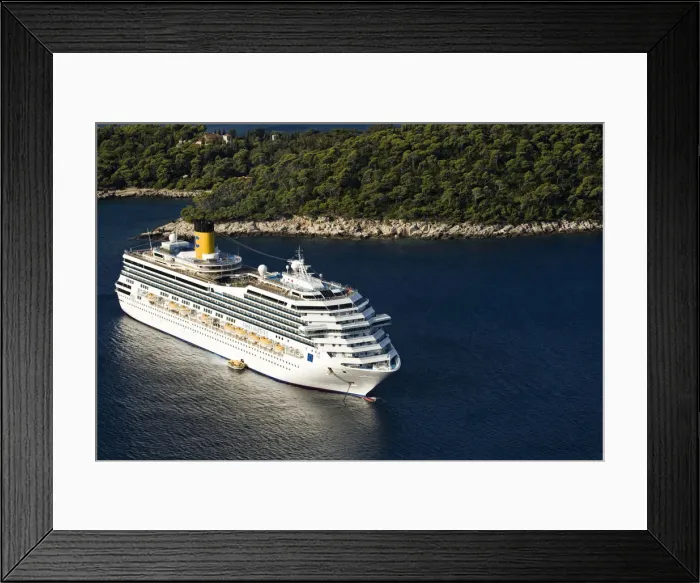 Framed Print : DDE-90035737