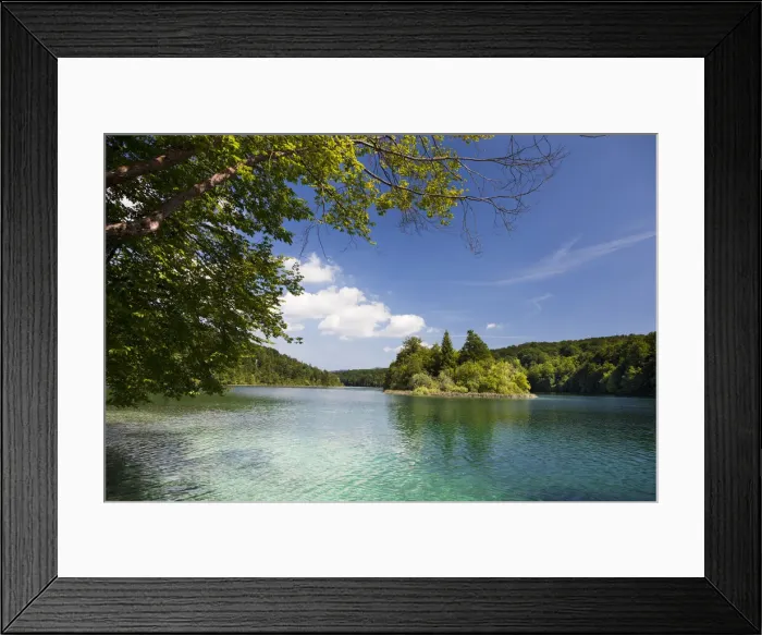 Framed Print : DDE-90035738 Framed Print : DDE-90035738