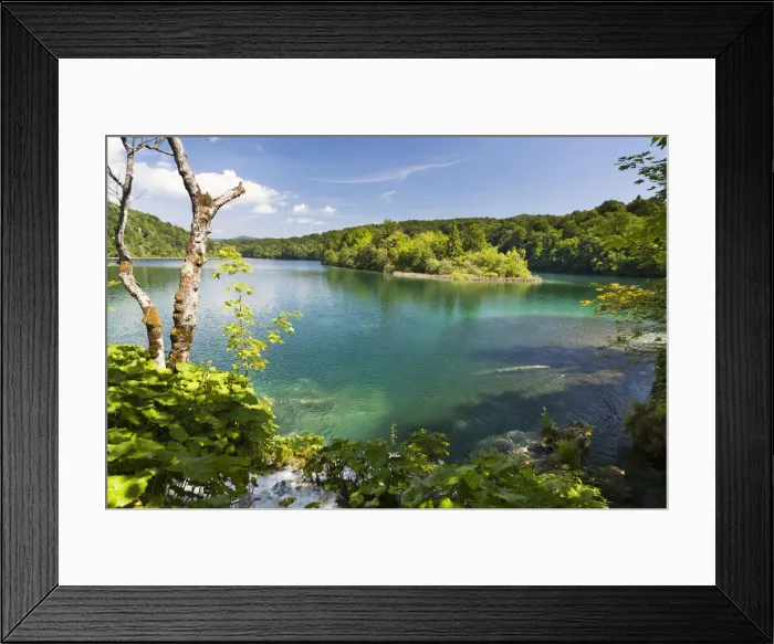 Framed Print : DDE-90035739 Framed Print : DDE-90035739