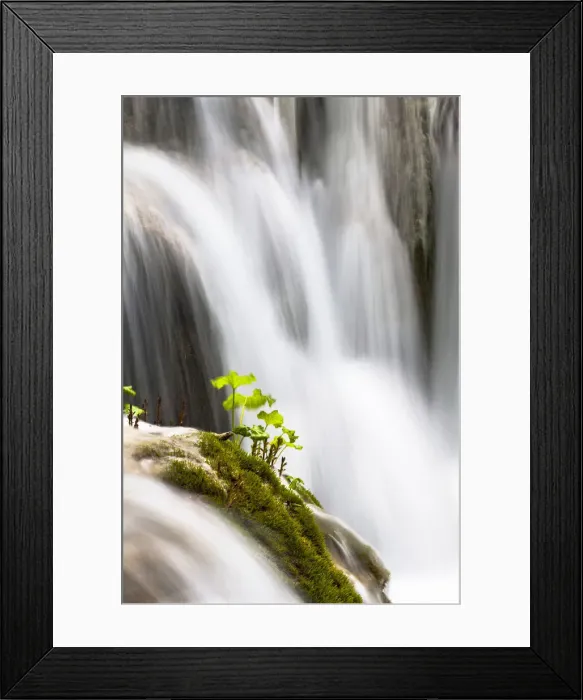 Framed Print : DDE-90035756 Framed Print : DDE-90035756
