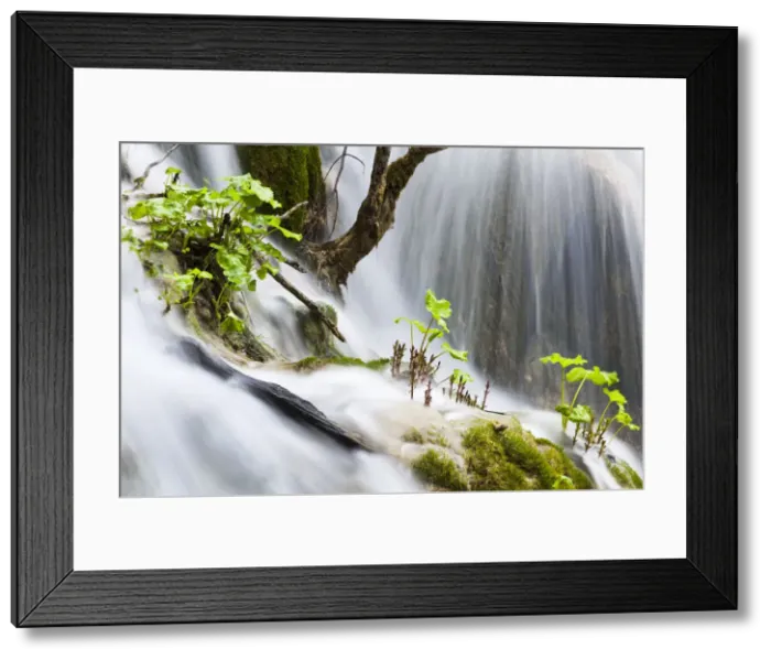 Framed Print : DDE-90035757