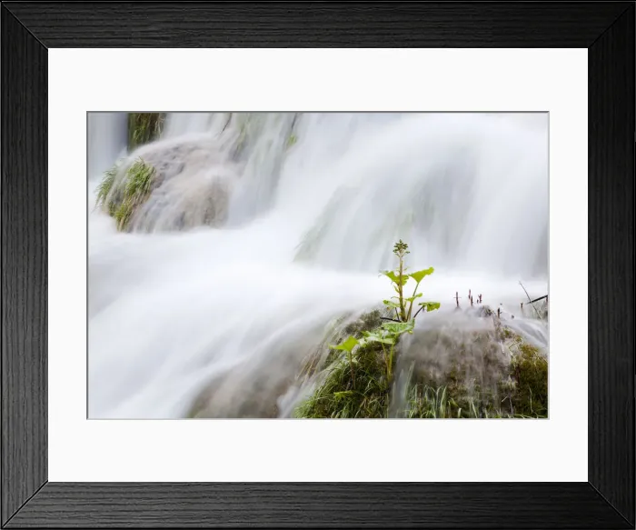 Framed Print : DDE-90035758 Framed Print : DDE-90035758