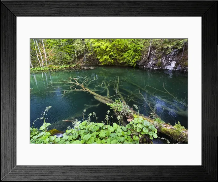 Framed Print : DDE-90035759 Framed Print : DDE-90035759