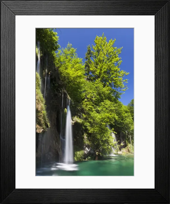 Framed Print : DDE-90035762