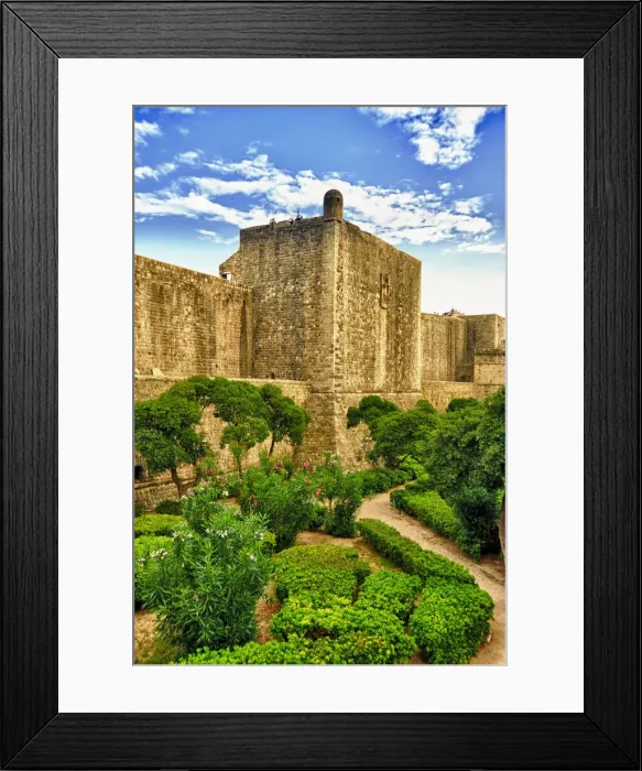 Framed Print : DDE-90035774 Framed Print : DDE-90035774