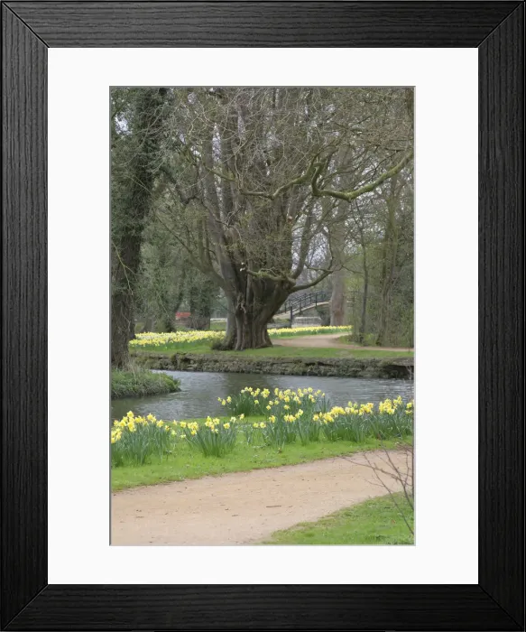 Framed Print : DDE-90035799 Framed Print : DDE-90035799