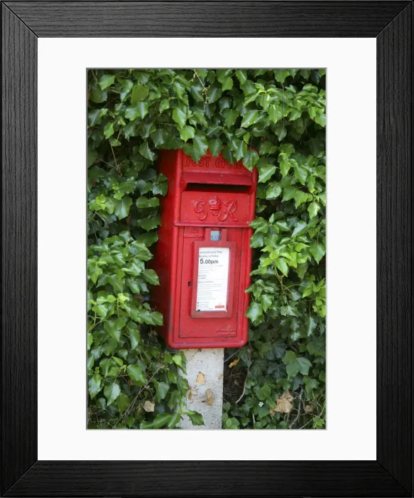 Framed Print : DDE-90035802 Framed Print : DDE-90035802