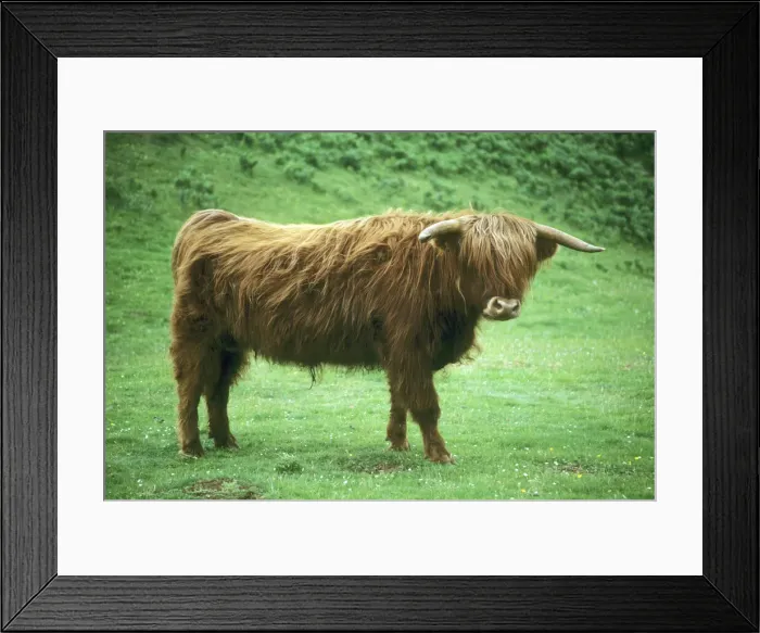 Framed Print : DDE-90035830 Framed Print : DDE-90035830