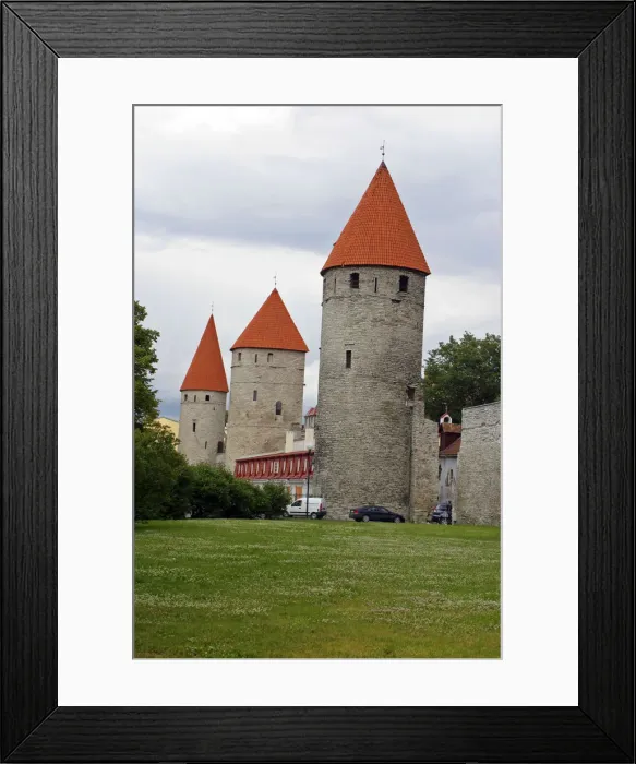 Framed Print : DDE-90035851 Framed Print : DDE-90035851
