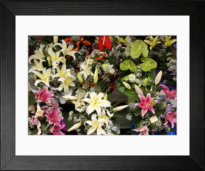 Framed Print : DDE-90035850 Framed Print : DDE-90035850