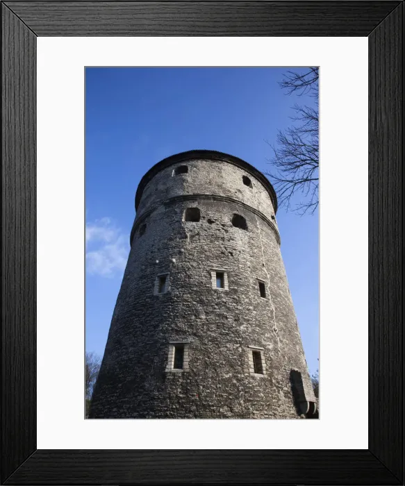 Framed Print : DDE-90035859