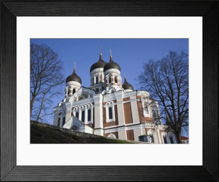 Framed Print : DDE-90035860