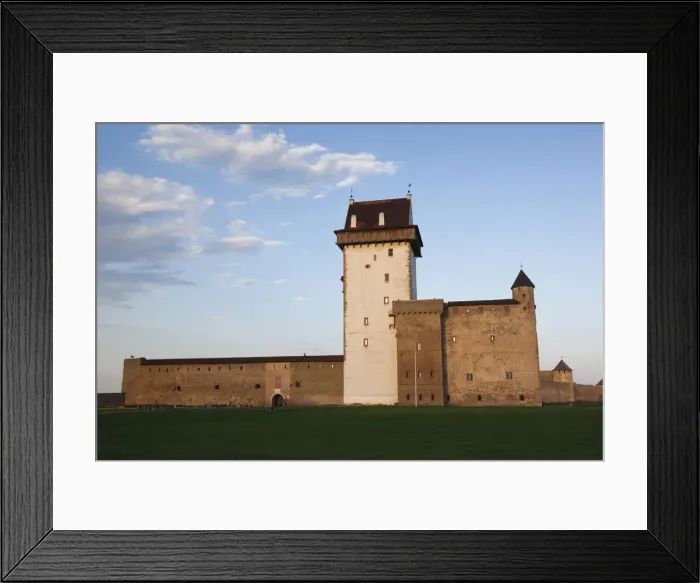 Framed Print : DDE-90035867