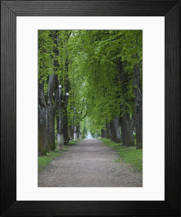 Framed Print : DDE-90035871