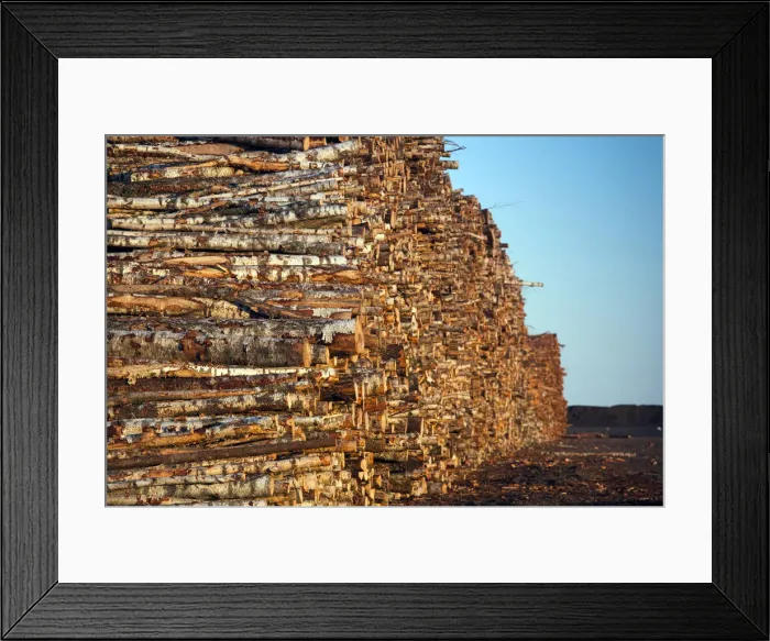 Framed Print : DDE-90035875 Framed Print : DDE-90035875