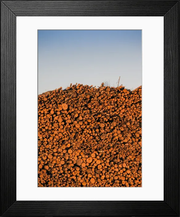 Framed Print : DDE-90035874 Framed Print : DDE-90035874