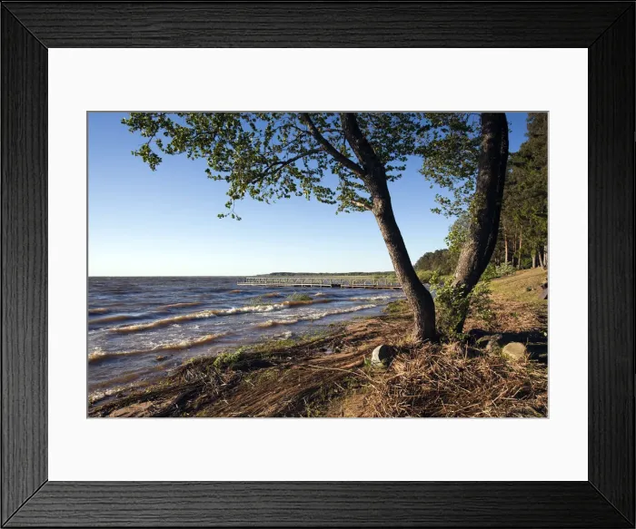 Framed Print : DDE-90035880
