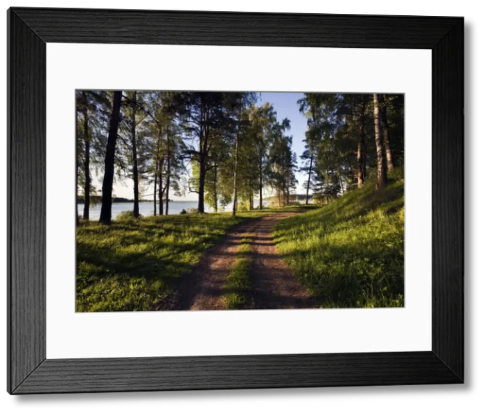 Framed Print : DDE-90035881 Framed Print : DDE-90035881
