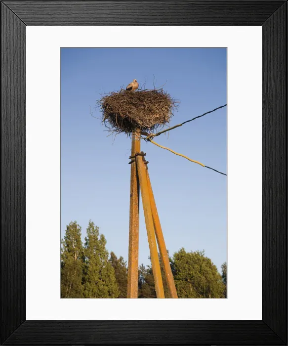 Framed Print : DDE-90035882 Framed Print : DDE-90035882