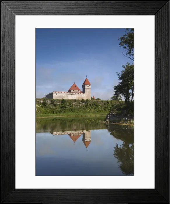 Framed Print : DDE-90035887 Framed Print : DDE-90035887