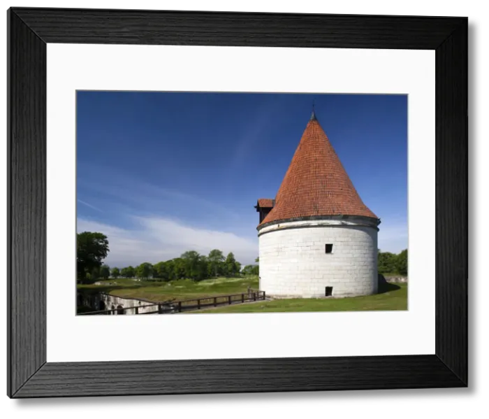 Framed Print : DDE-90035888 Framed Print : DDE-90035888