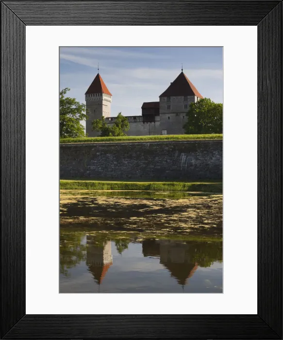 Framed Print : DDE-90035885 Framed Print : DDE-90035885